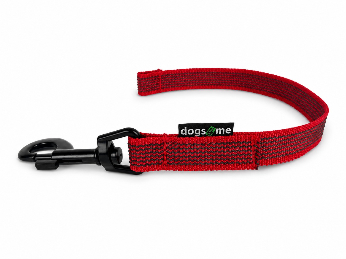 RUBBERIZED DOG LEASH WITHOUT HANDLE 40 CM, 20MM