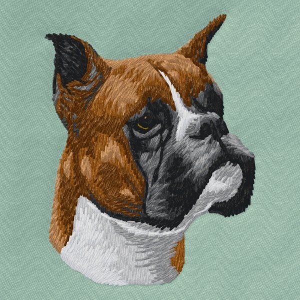 Německý boxer 18