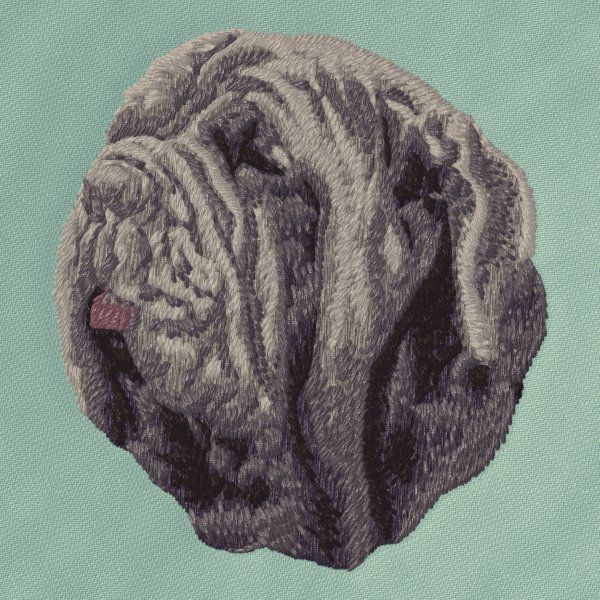 Neapolitan Mastiff 2