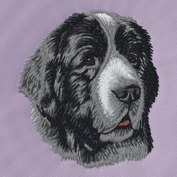 Landseer 4