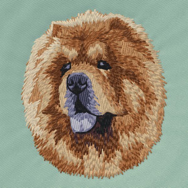 Chow Chow 6