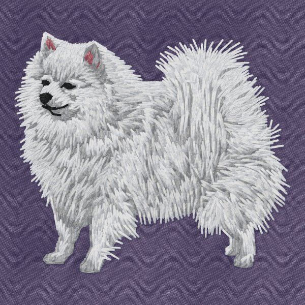German Spitz 7