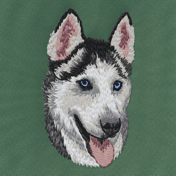 Siberian Husky 6