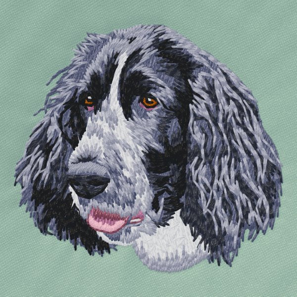 English Springer Spaniel 2