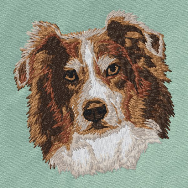 Australian Shepherd 13