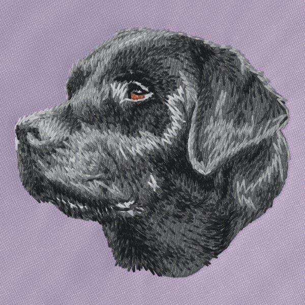 Labrador Retriever 31