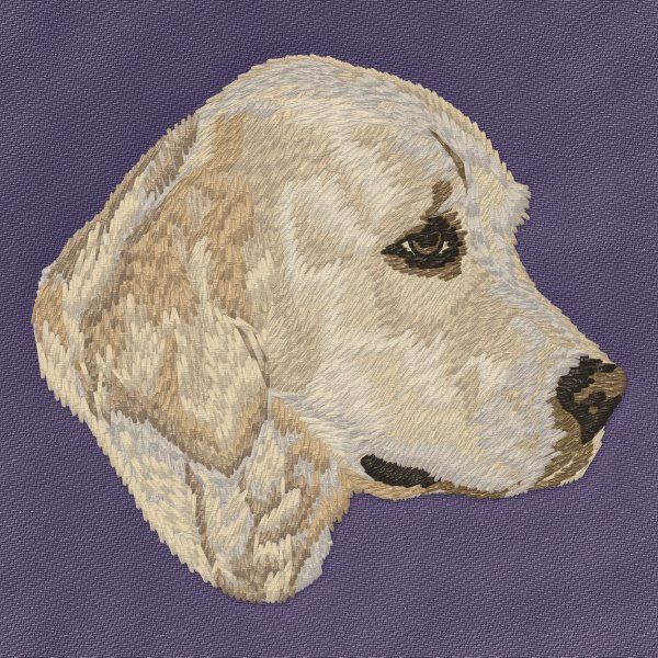 Golden Retriever 14