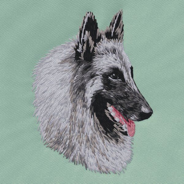 Tervueren 4