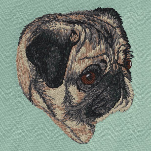 Mops 6