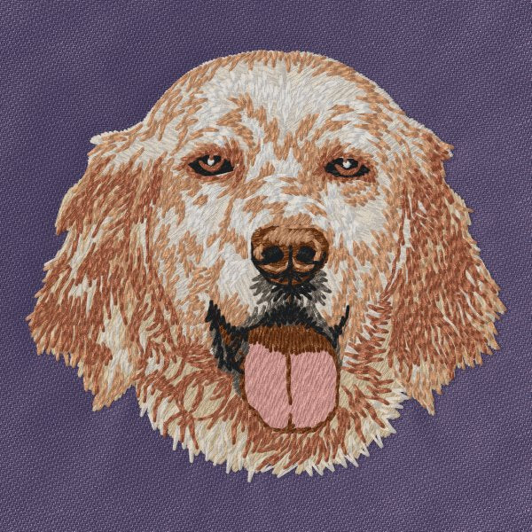 English Setter 2