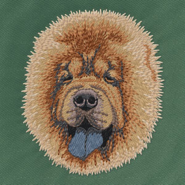 Chow Chow 5