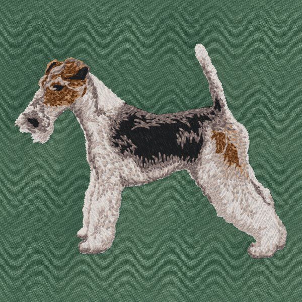 Foxterrier 5