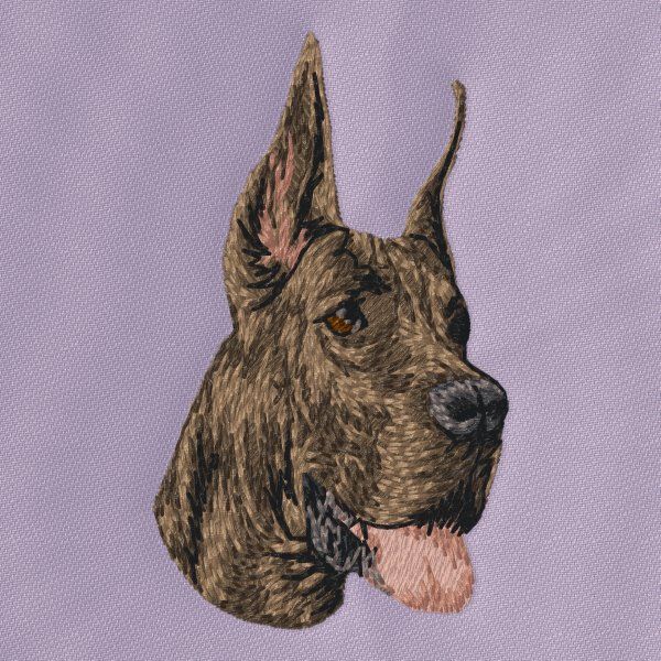 Great Dane 6