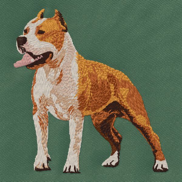 Staffordshire Bullterrier 4