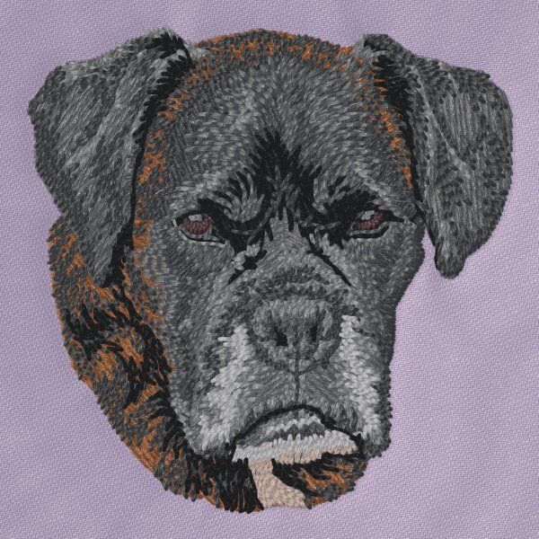 Boxer 8