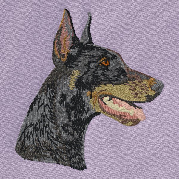 Dobermann 4
