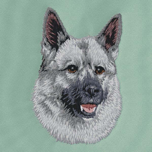 Elkhound 1