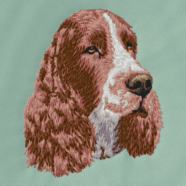 English Springer Spaniel 1