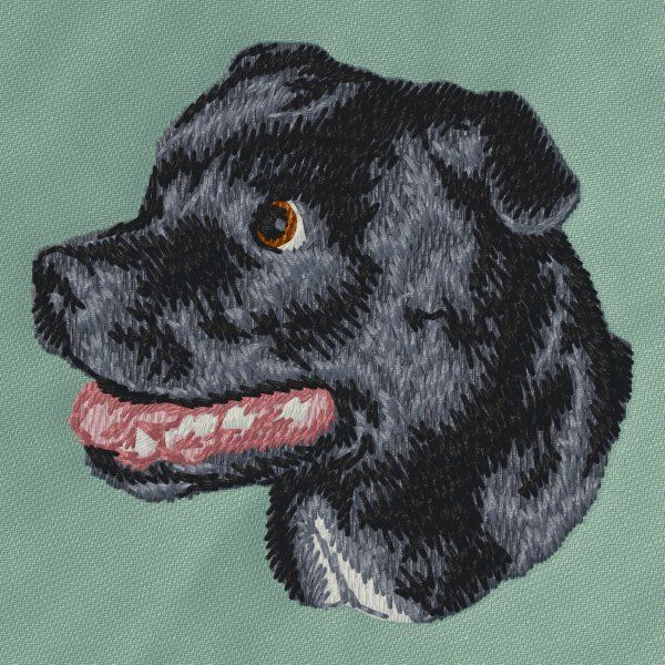 Staffordshire Bullterrier 3