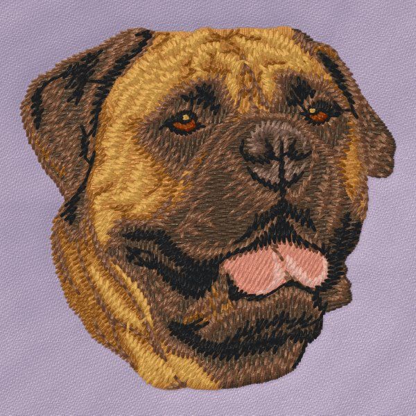 Bullmastiff 1