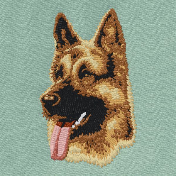 German Shepherd 8