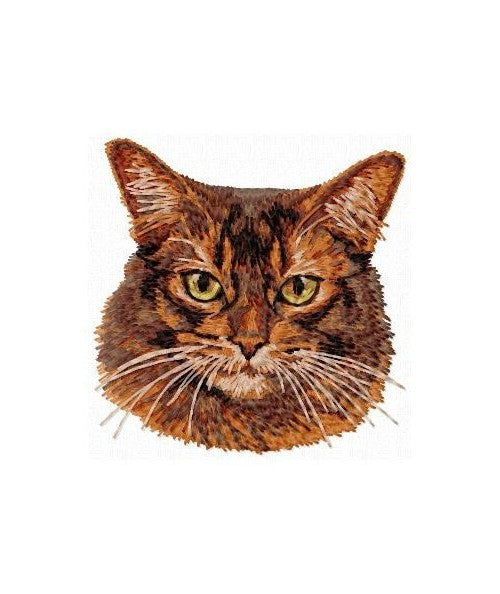 Abessinierkatze