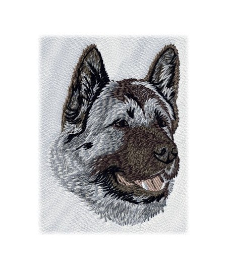 Akita Inu 1