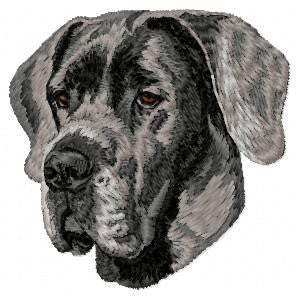 Great Dane 2