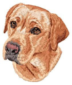 Labrador Retriever 2