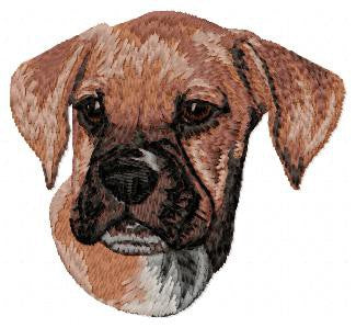 Deutscher Boxer 3
