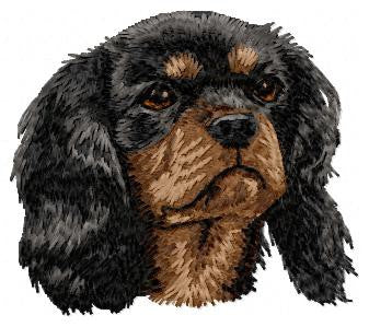 Kavalír king Charles španěl 3