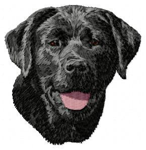 Labradorský retrívr 9