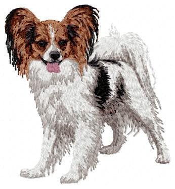 Papillon 1