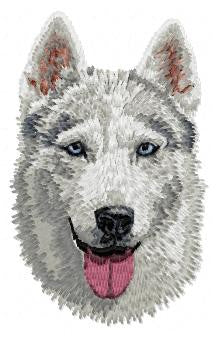 Siberian Husky 2