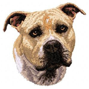 Staffordshire Bullterrier 1
