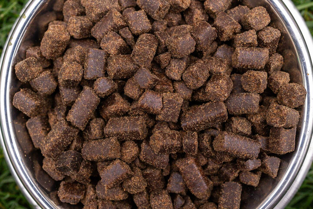 BOHEMIA COLD Adult Beef