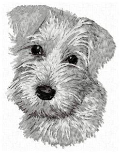 Schnauzer 2