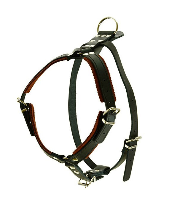 HETZGESCHIRR LEDER – RÜDEN