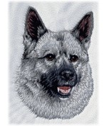 Norský losí pes šedý 1