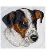 Jack Russell Terrier 10