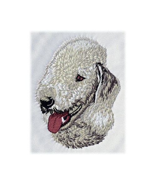 Bedlington Terrier 3