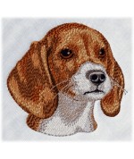Beagle 6