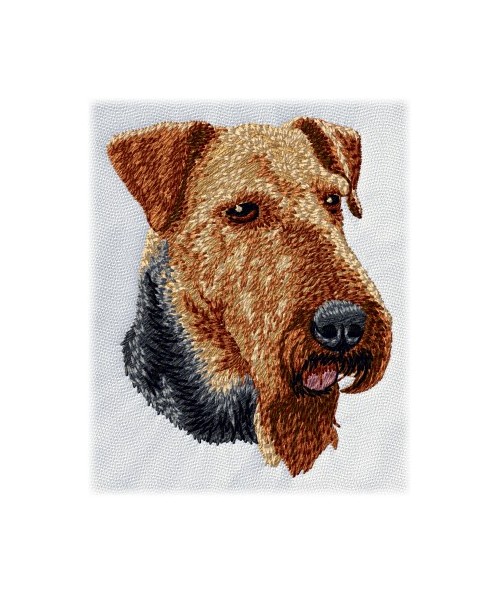 Airedale Terrier 3
