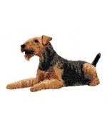 Airedale Terrier 2