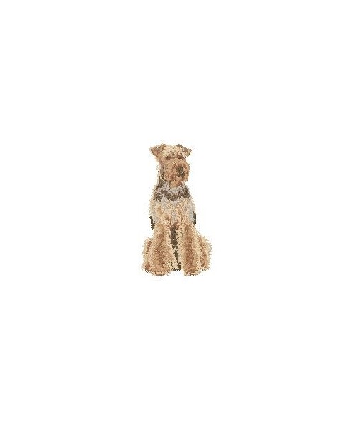 Airedale Terrier 5