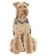 Airedale Terrier 5