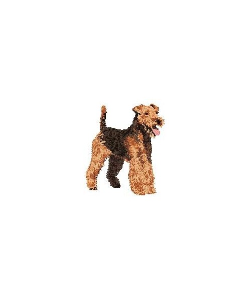 Airedale Terrier 6