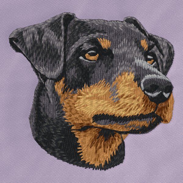 Deutscher Jagdterrier 2