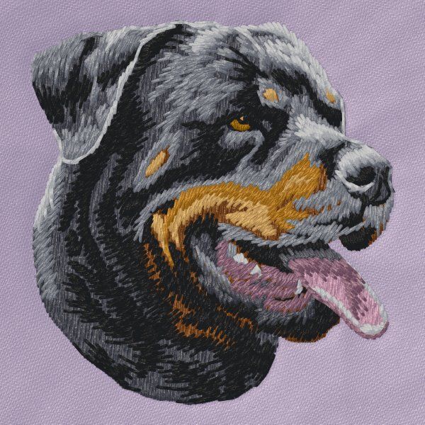 Rottweiler 17