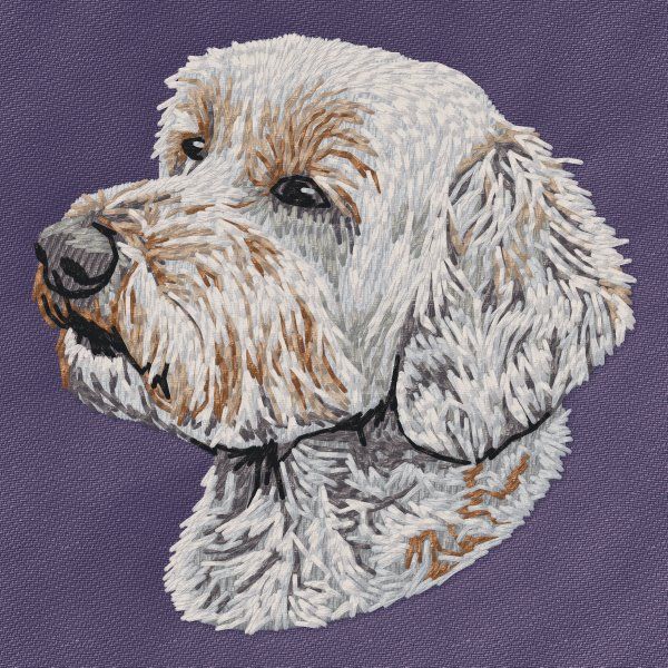 Labradoodle